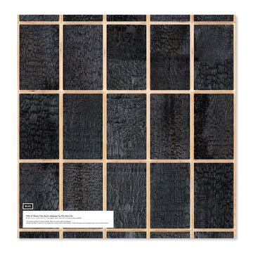 ι PHE-27LS Waste Tiles Burnt