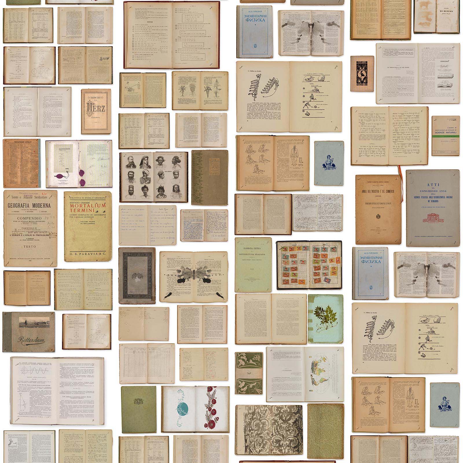 EKA-07 Books White | NLXL Official