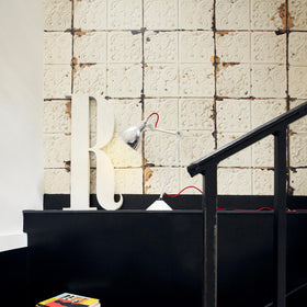 TIN 02-1 HiRes Crop Bottom_Right Sceno Shopify.jpg