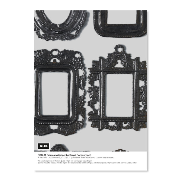 DRO-01SS Frames Shopify Sample Image.jpg