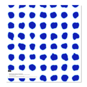 ι PNO-02LS  Blue Dots Large Sample