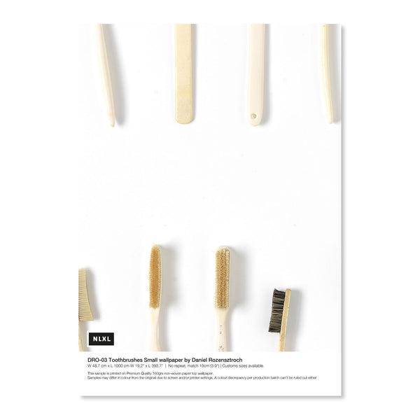 DRO-03SS Toothbrushes Small Shopify Sample Image.jpg