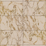 PHM-62 Marble Beige Tiles 24,4 x 15,4 cm Swatch Crop Shopify_1.jpg