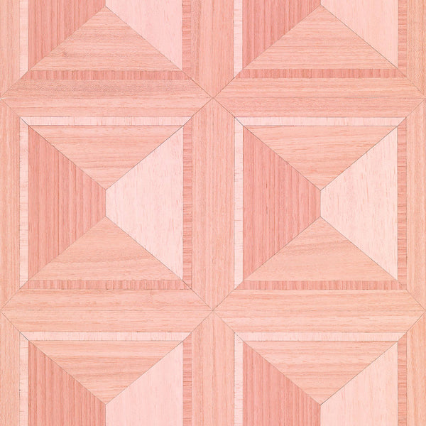 TEU-04 Marquetry Pink Swatch Crop Shopify.jpg