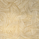 BGF-01 Close SIM 1800.jpg