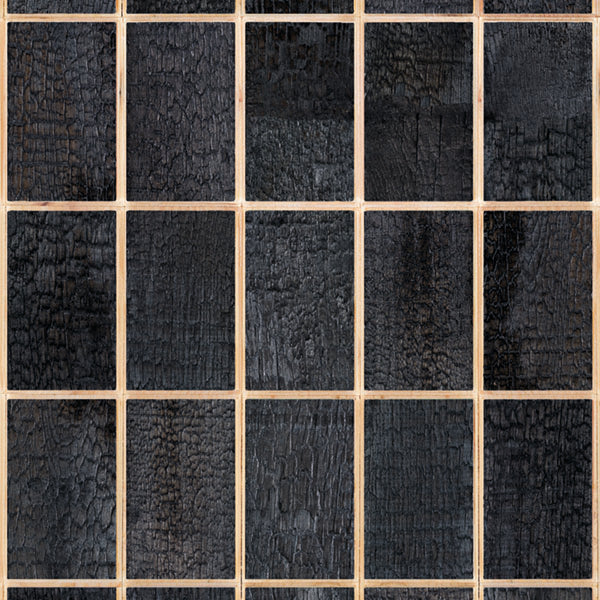 PHE-27 Waste Tiles Burnt Closeup2.jpg