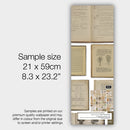 EKA-07 Books White Sample Shopify.jpg