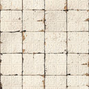 TIN-02_27-06-2012 SIM Shopify.jpg