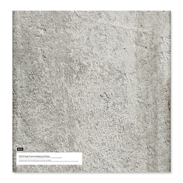 ι CON-03LS Rough Concrete Large Sample