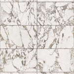 PHM-42 Marble White Tiles 24,4 x 15,4 cm Swatch Crop Shopify_1.jpg