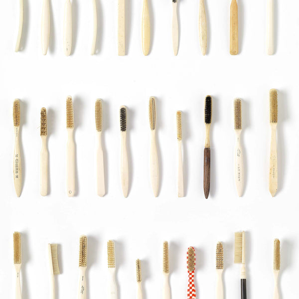DRO-03 Toothbrushes Small Crop Shop_1.jpg