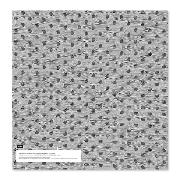 TTY-02LS Particles Grey Grey Shopify Sample Image.jpg