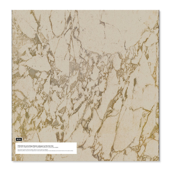 PHM-60ALS Beige Marble No joints Shopify Sample Image.jpg