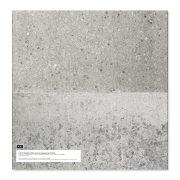 ι CON-05LS Weathered Moss Concrete Large Sample