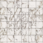 PHM-44 Marble White Tiles 8,1 x 7,7 cm Swatch Crop Shopify_1.jpg