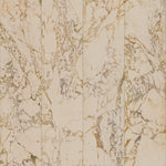 PHM-60A Marble Beige No Joints SIM Shopify.jpg