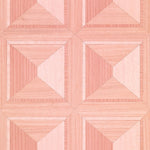 TEU-04 Marquetry Pink Swatch Crop Shopify.jpg
